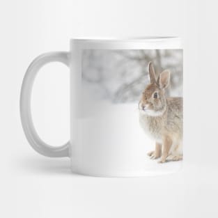 Eastern Cottontail bunny Mug